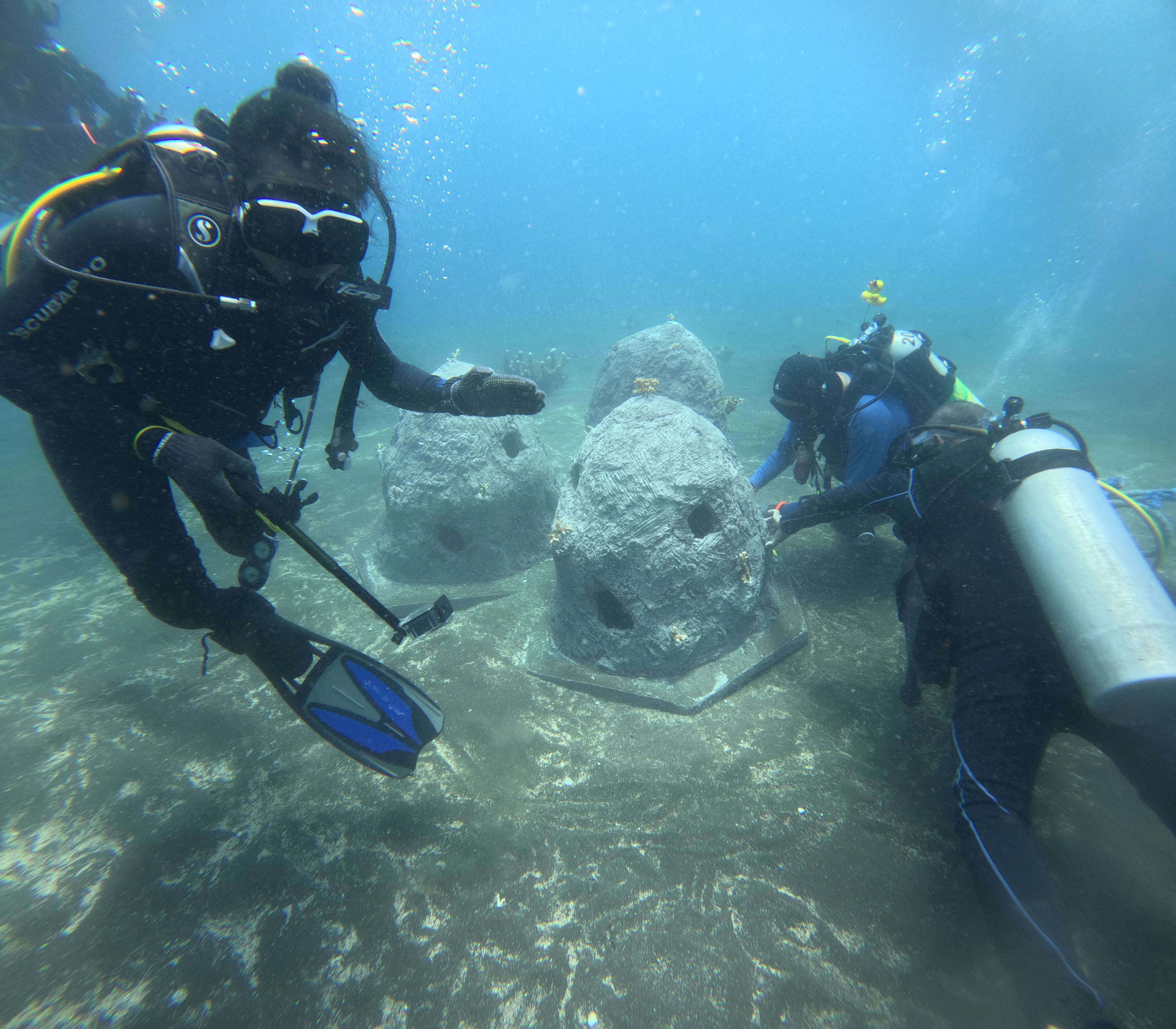 Coral Conservation 1