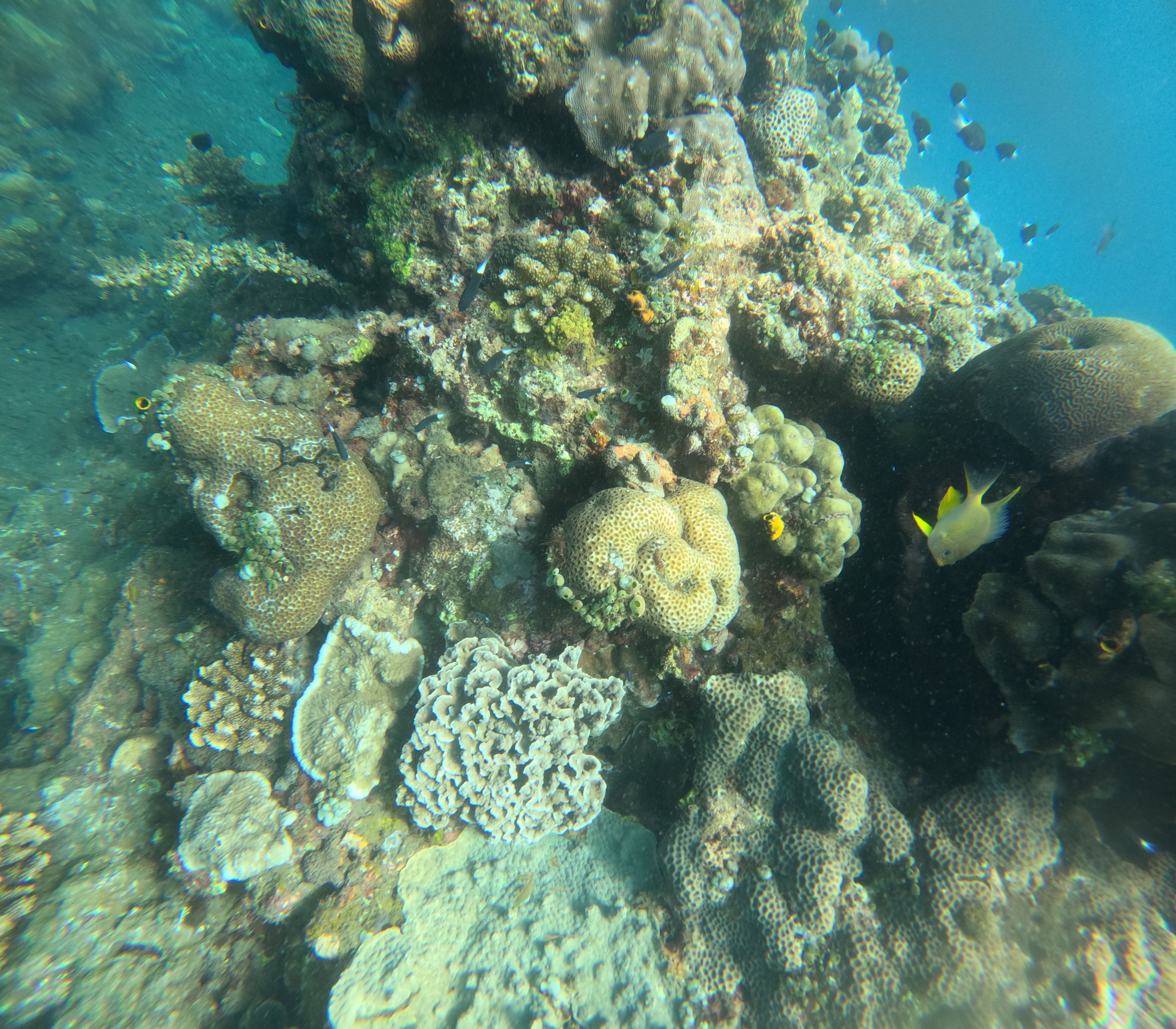 Underwater Panorama 3