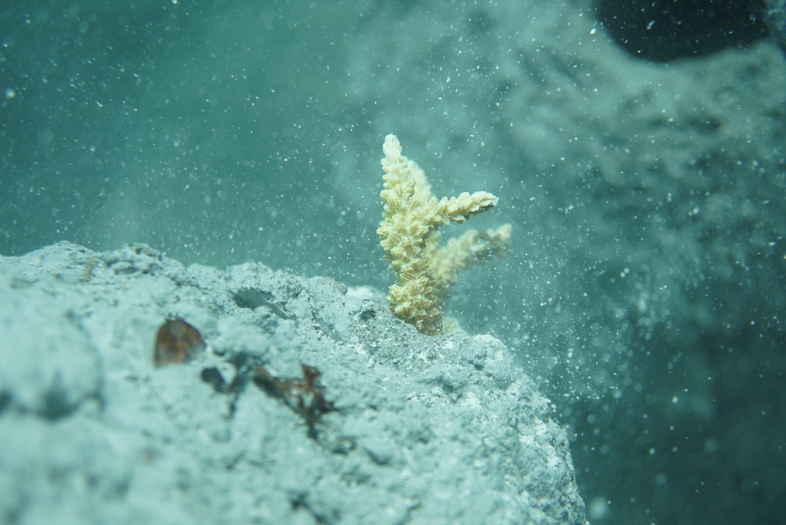Underwater Panorama 7