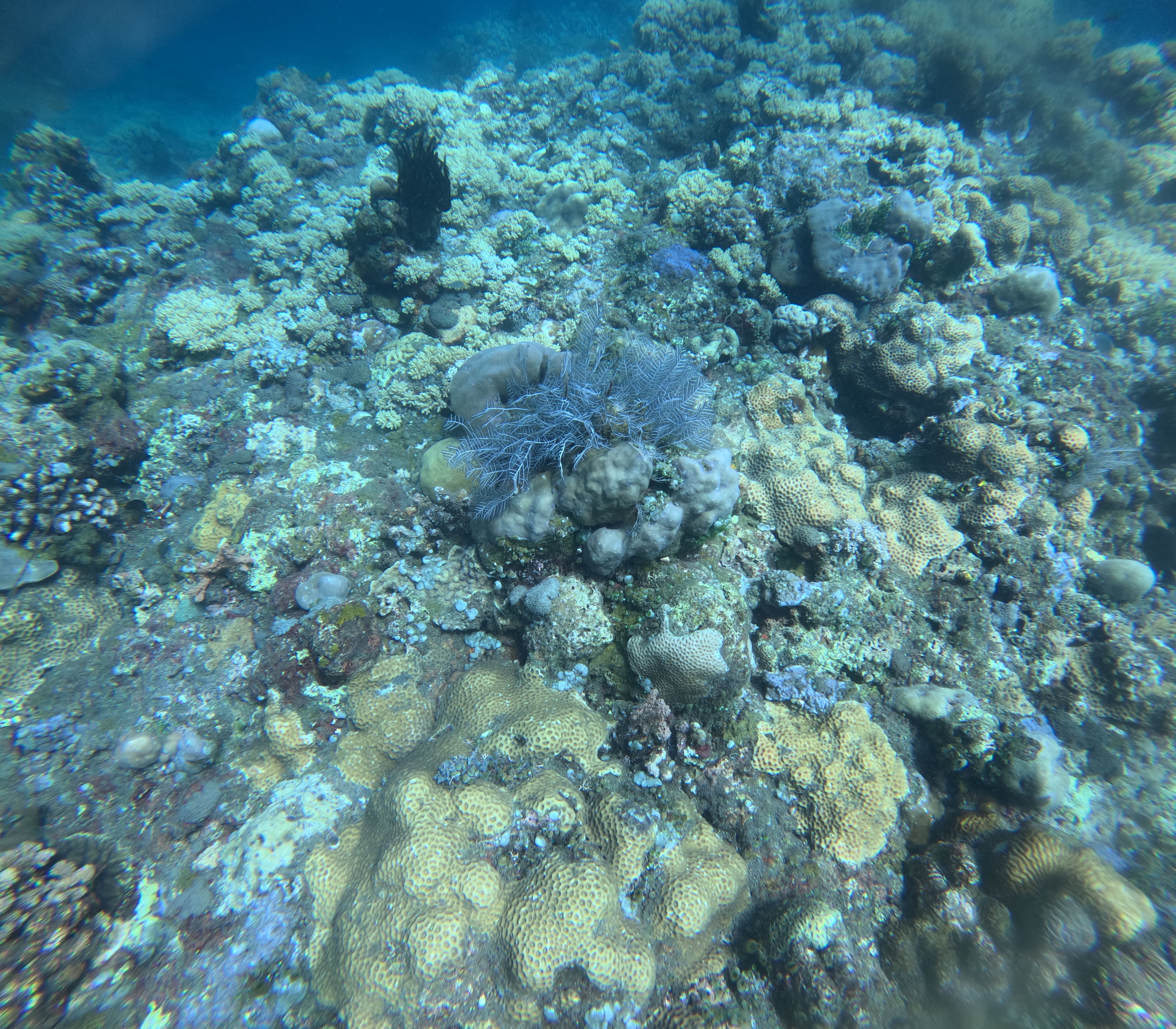 Underwater Panorama 8